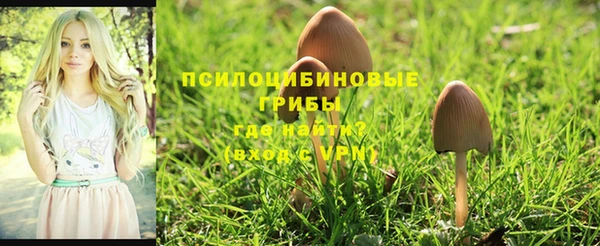 синтетический гашиш Балахна