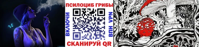 Псилоцибиновые грибы прущие грибы  Чкаловск 
